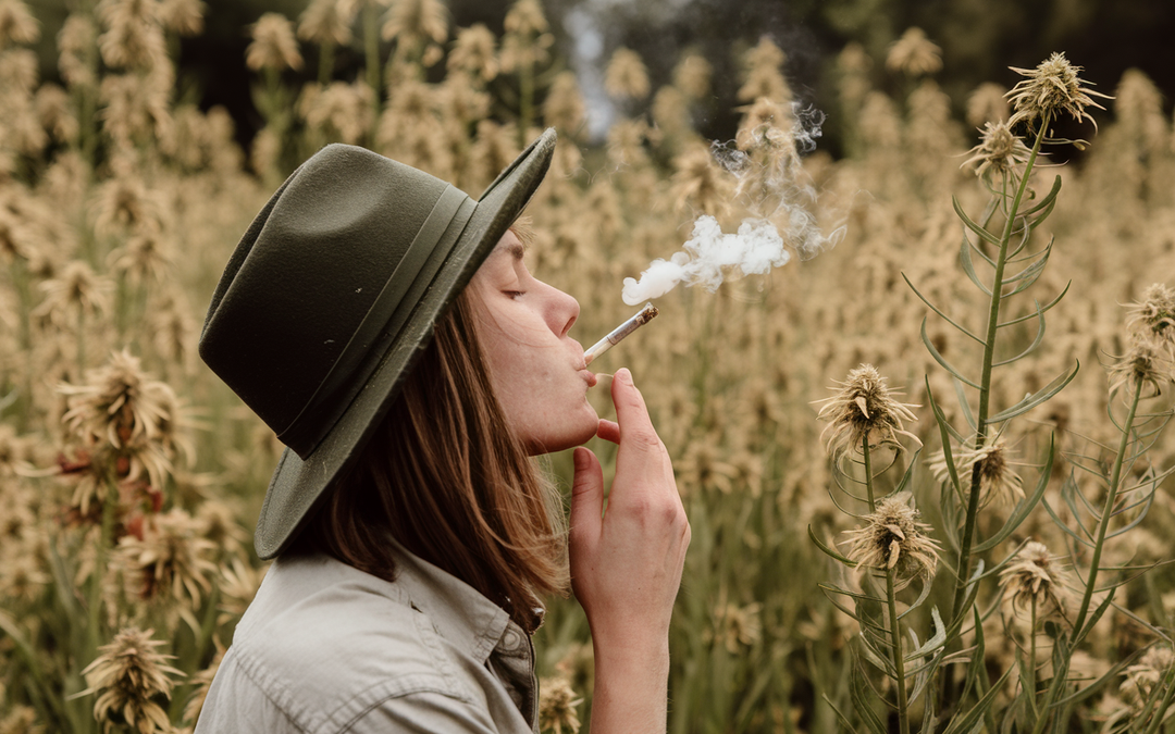 The Best Weed Strains for Summer Time!