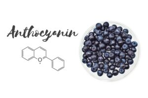 Anthocyanin formula with blueberries next to it, pigment that is found in weed