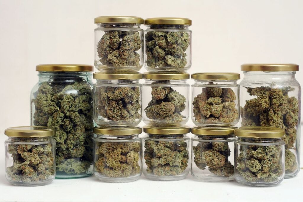 curing cannabis buds in glass jars