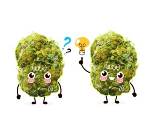 Cartoon of marijuana bud teaching other bud how to cure weed plants.