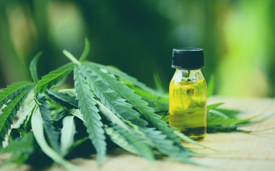 6 Life-changing Benefits and Uses for CBD Oil