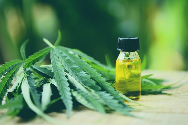 cbd oil