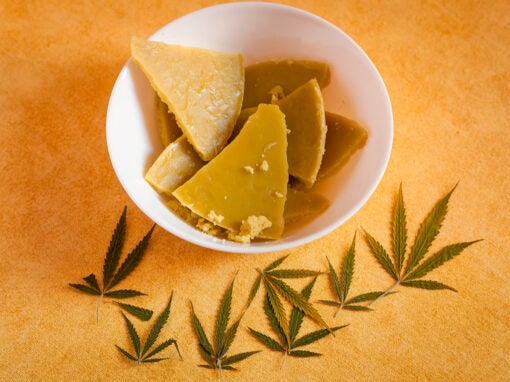 How To Make Edibles: 9 Delicious Recipes For Cannabis Cooking | XpressGrass