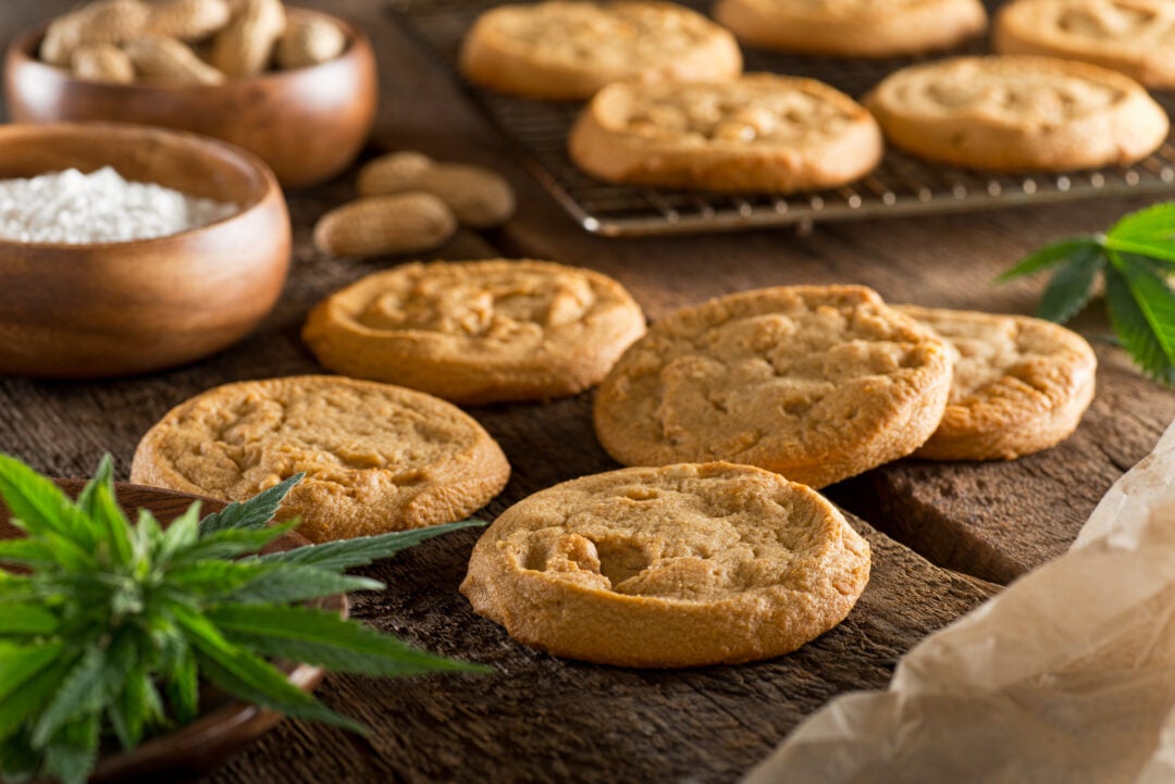 How to Make Edibles: 9 Delicious Recipes for Cannabis Cooking XpressGrass
