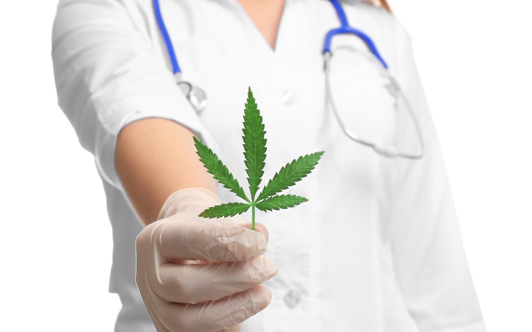 Best Marijuana Strains for Pain Relief: CBD or THC?