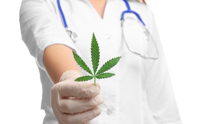 Best Marijuana Strains for Pain Relief: CBD or THC?