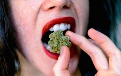 Edibles Taste Like Weed: How to Improve Them