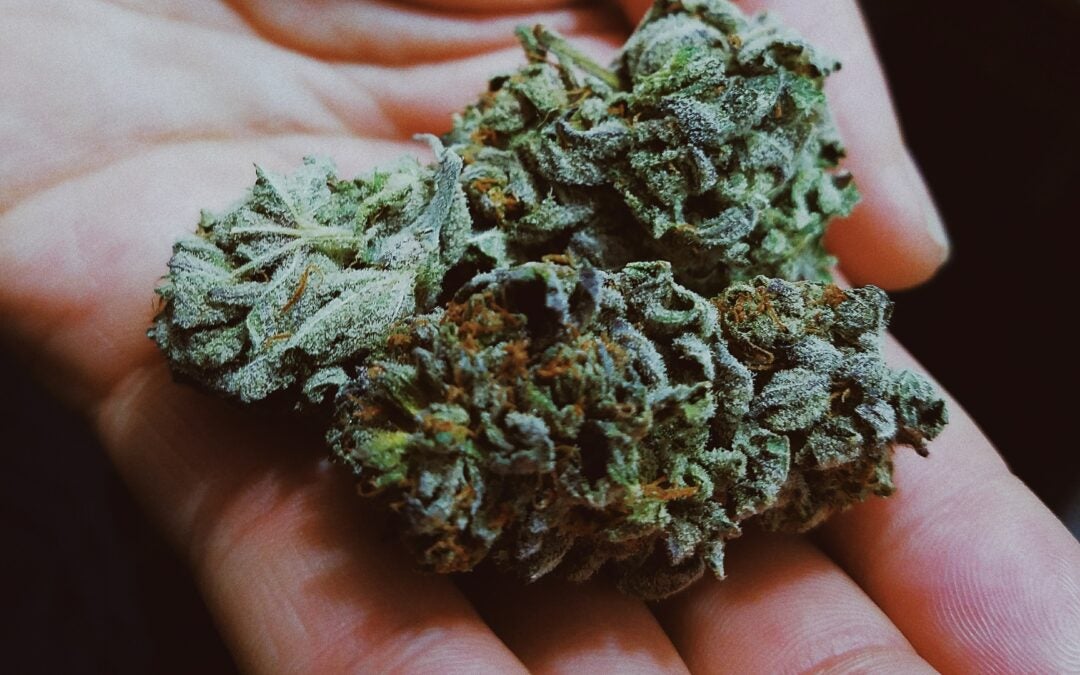 Best Indica Strains for Sleep, Pain, Anxiety & More