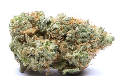 The Gelato Strain: A Delightful Symphony of Flavours and Effects