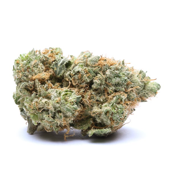 Forest green nug with scattered orange hairs, thick coating of crystal trichomes