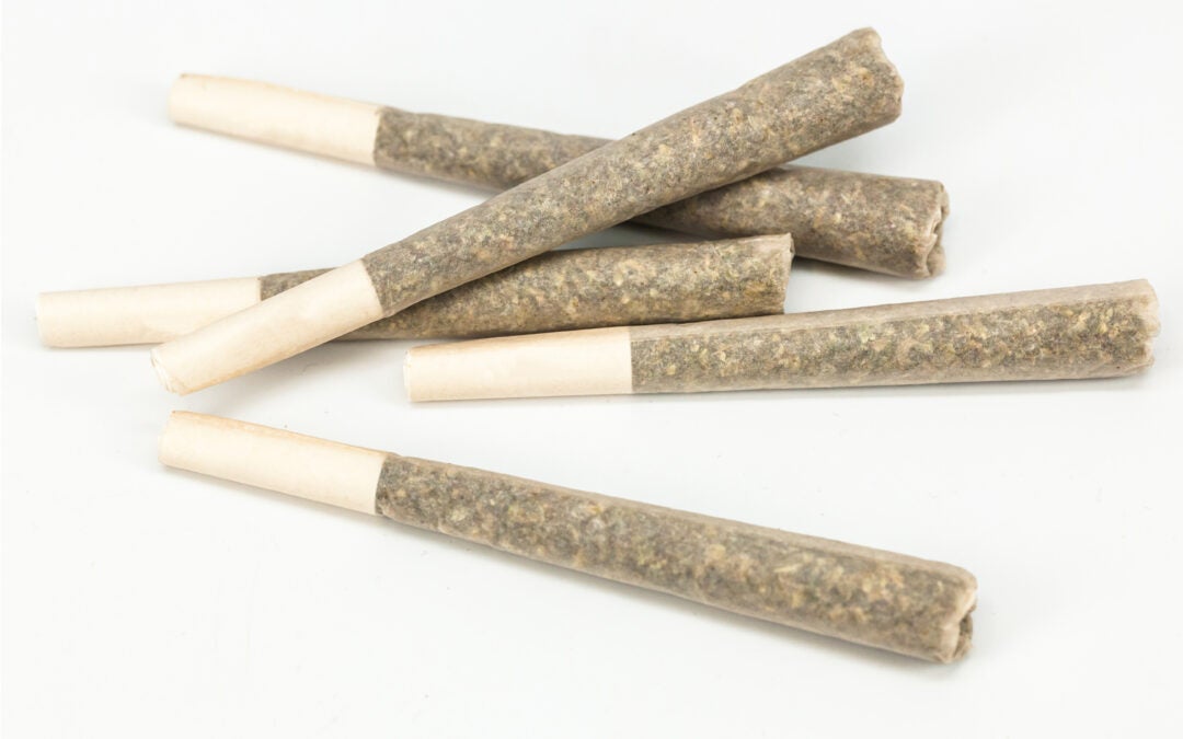 cannabis pre-rolls