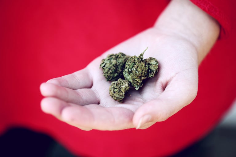 small buds