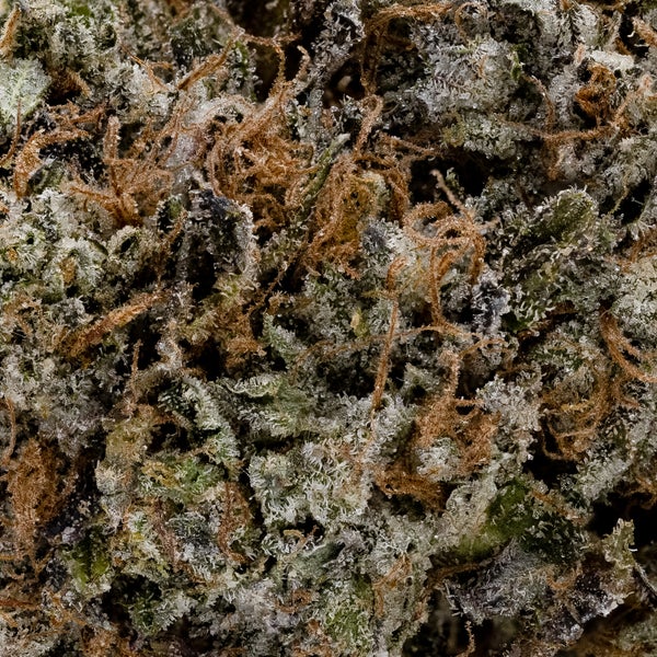 Darth Vader OG (Fun Buds) - Image 2