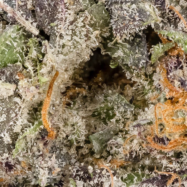 Darth Vader OG (Fun Buds) - Image 3