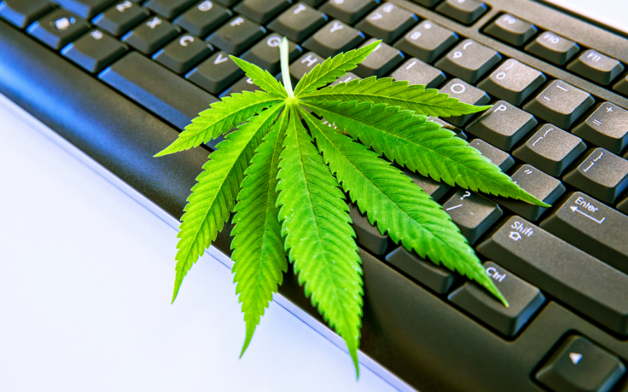 This image hints at order weed Canada. It displays a marijuana law leaf on top of a keyboard.