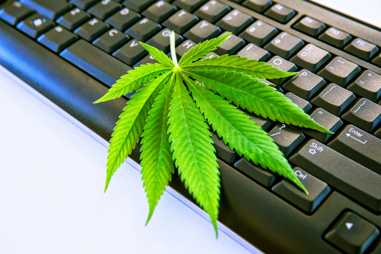 This image hints at order weed Canada. It displays a marijuana law leaf on top of a keyboard.