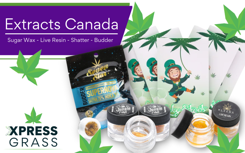 This image shows all the products from Extract Canada including budder, shatter, wax and resin