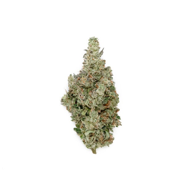 Tuna Kush (Jungle Ridge) - DOPE Deal