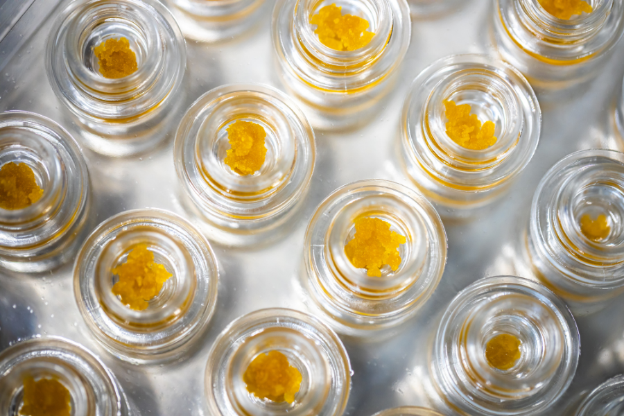 This image features cannabis concentrates such as live resin