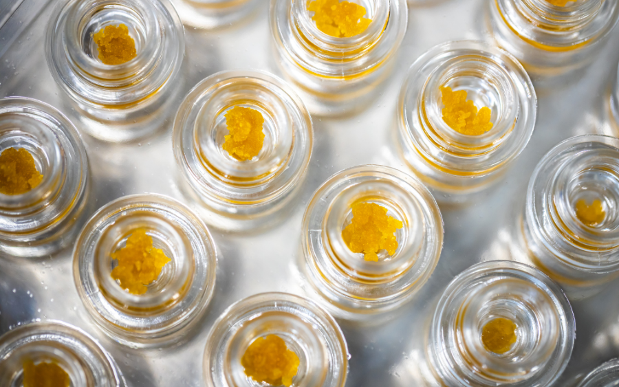 Cannabis Concentrates – The Complete Guide