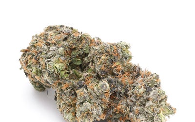 A Closer Look at the Runtz Strain: More Than Just Your Average Cannabis Variety