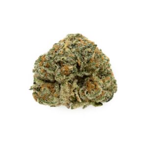 Citrus skunk strain of cannabis. It has beautiful lime green coloration and flame-colored orange hairs wound throughout the tightly knit buds 