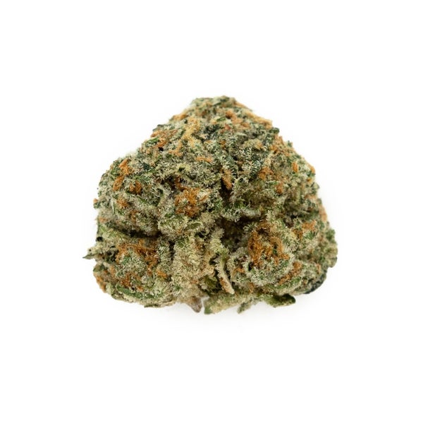 Citrus skunk strain of cannabis. It has beautiful lime green coloration and flame-colored orange hairs wound throughout the tightly knit buds