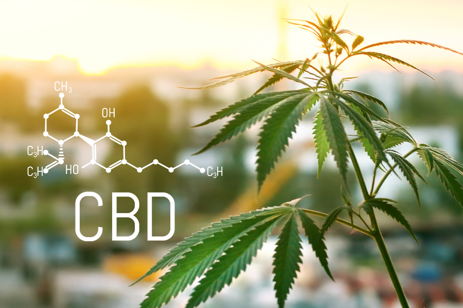 This image features the CBD compound