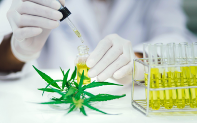 Cannabis Compounds Can Prevent COVID-19? Find Out More Now!