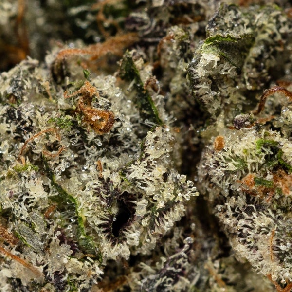 Darth Vader OG (Systm Harvests) - DOPE Deal - Image 3