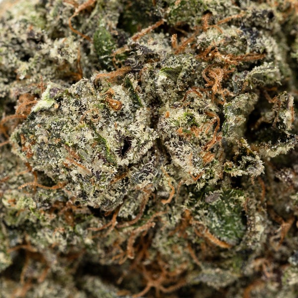 Darth Vader OG (Systm Harvests) - DOPE Deal - Image 2
