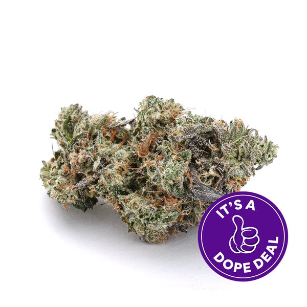 Critical Kush