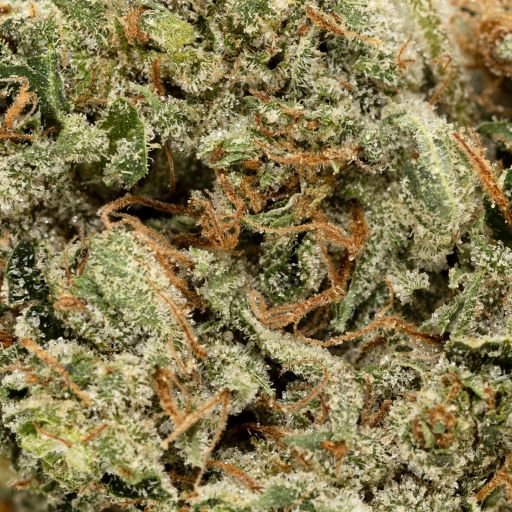 Tuna Kush (Superdank) - DOPE Deal - Image 3