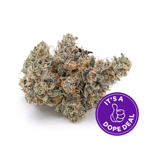 G-13