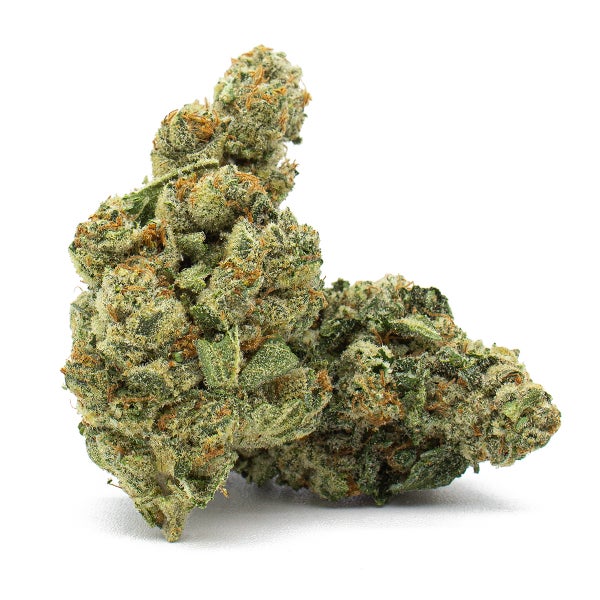 Jerry Can (Skookum Cannabis)