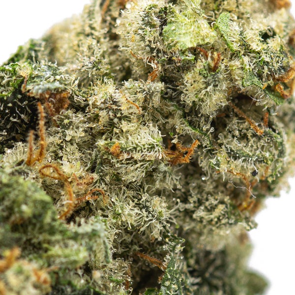 Jerry Can (Skookum Cannabis) - Image 3