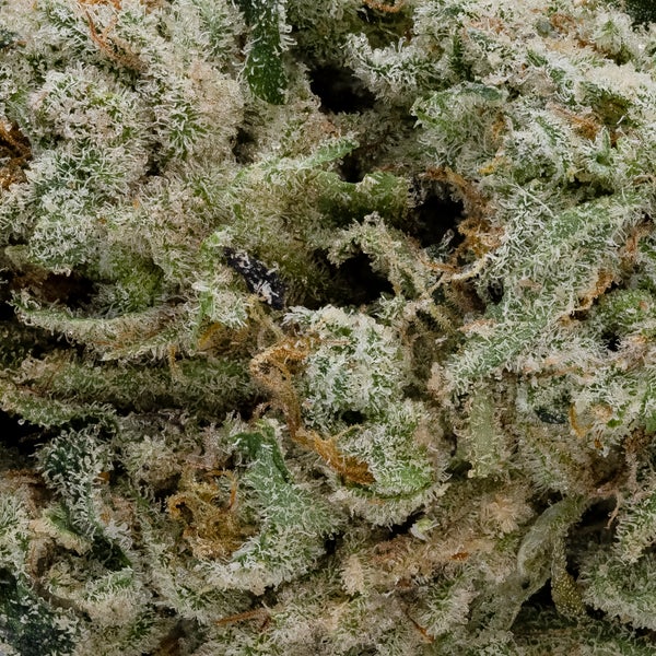 Thin Mint (Cream Of The Crop​) - Image 3