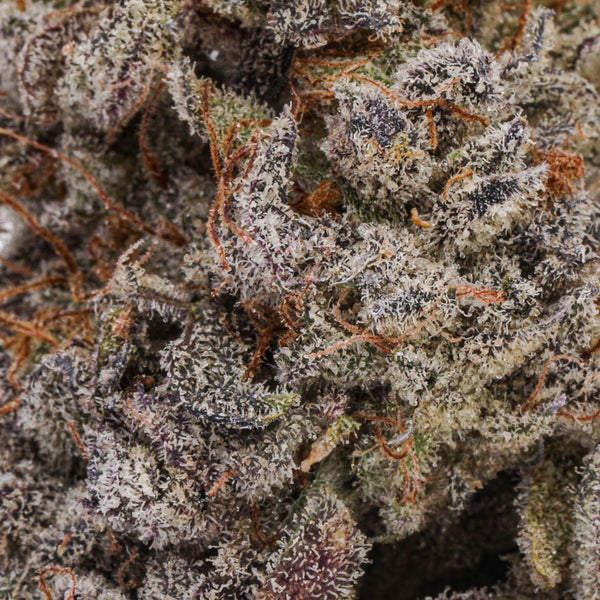 LSO Blueberry Skittles - Image 3