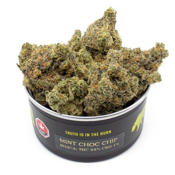 Mint Chocolate Chip (Skookum)