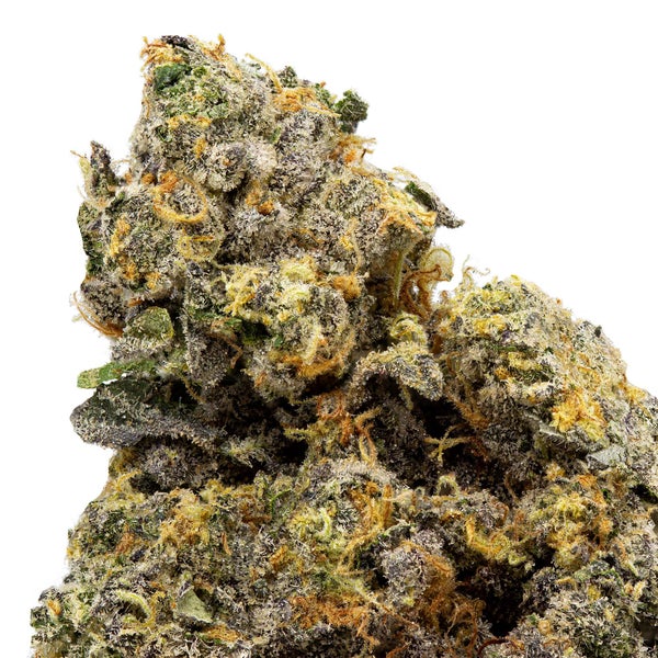 Mint Chocolate Chip (Skookum) - Image 3