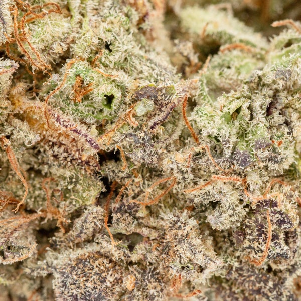 LSO Blueberry MAC (Cream of the Crop) - Image 2