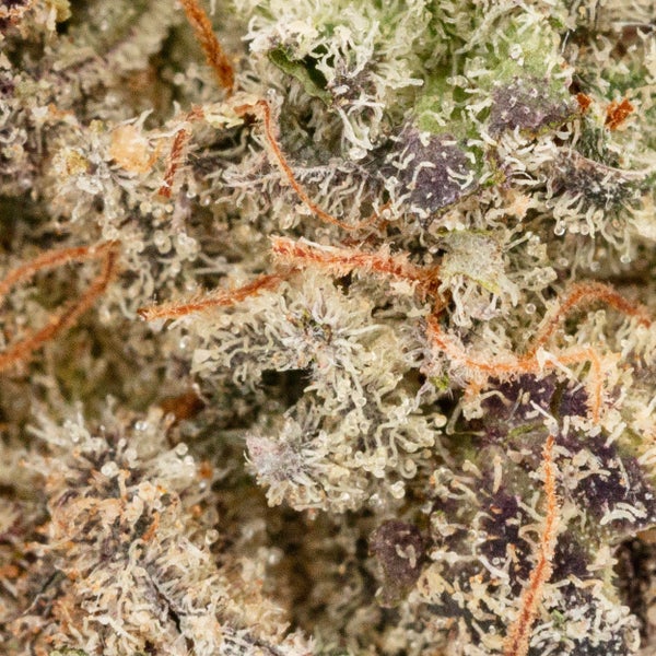 LSO Blueberry MAC (Cream of the Crop) - Image 3
