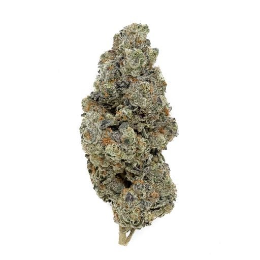 LSO LA Kush Cake (Albatross)