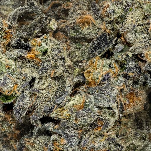 LSO LA Kush Cake (Albatross) - Image 2