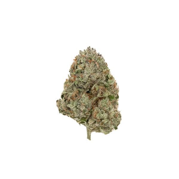 Purple Kush (Jungle Ridge) - DOPE Deal