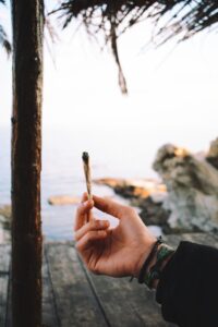 man holding a craft cannabis strain pre-roll in hand. Great quality.