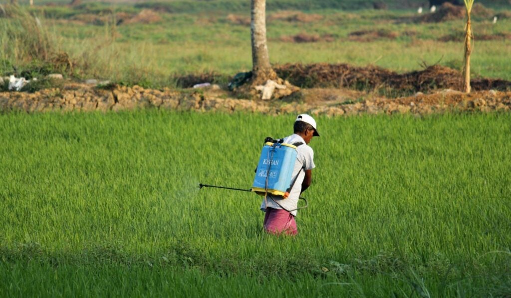 Farmer in the field using pesticide to protect his plants. He has a huge blue tank strapped to his back that is connected to his hose.