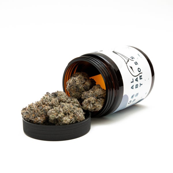 LSO Animal Cookies (Albatross) - Image 3