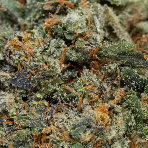 LSO Legend OG (Albatross) - Image 4