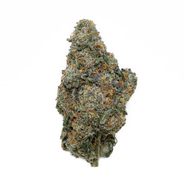 LSO Legend OG (Albatross) - Image 2